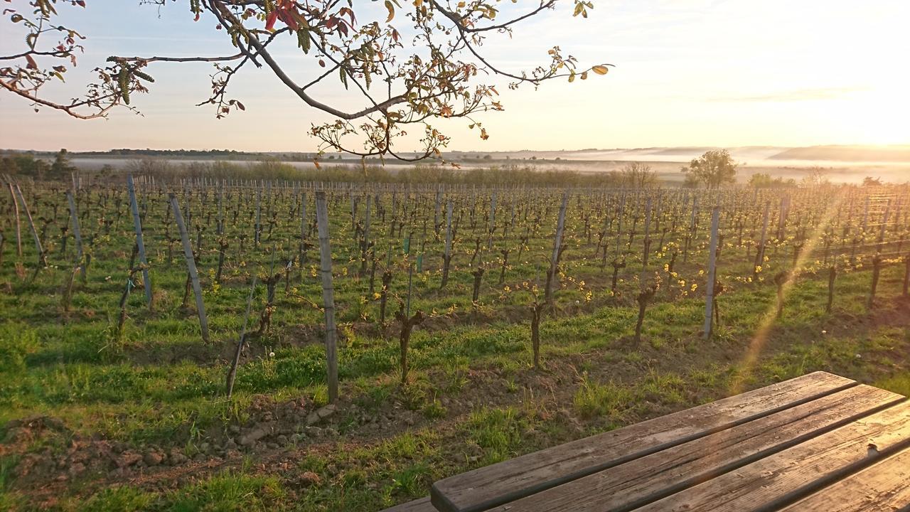Weingut Familie Bauer Hotel Grossriedenthal Exterior foto